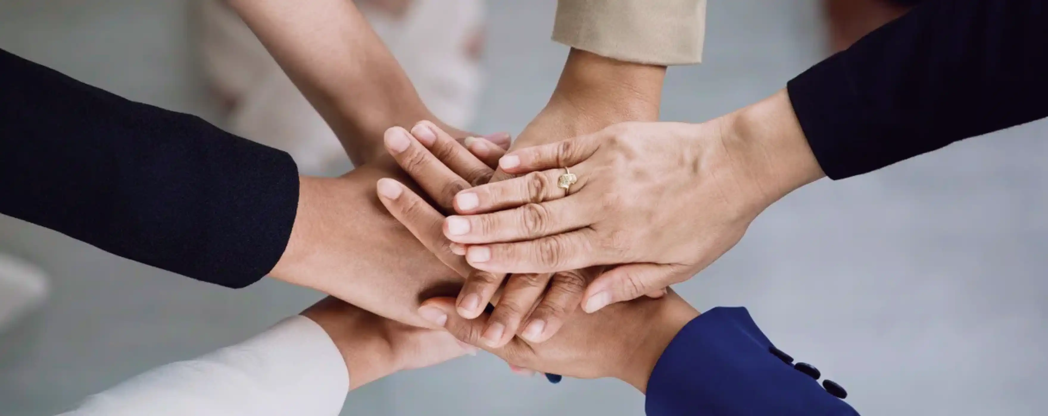Sustainable Leadership: Meet Our Visionaries Leading the Way to a Greener Future